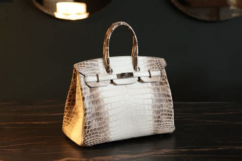 the himalaya birkin